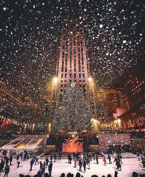 Experience the magic of a New York Christmas through the pages of this beautiful book